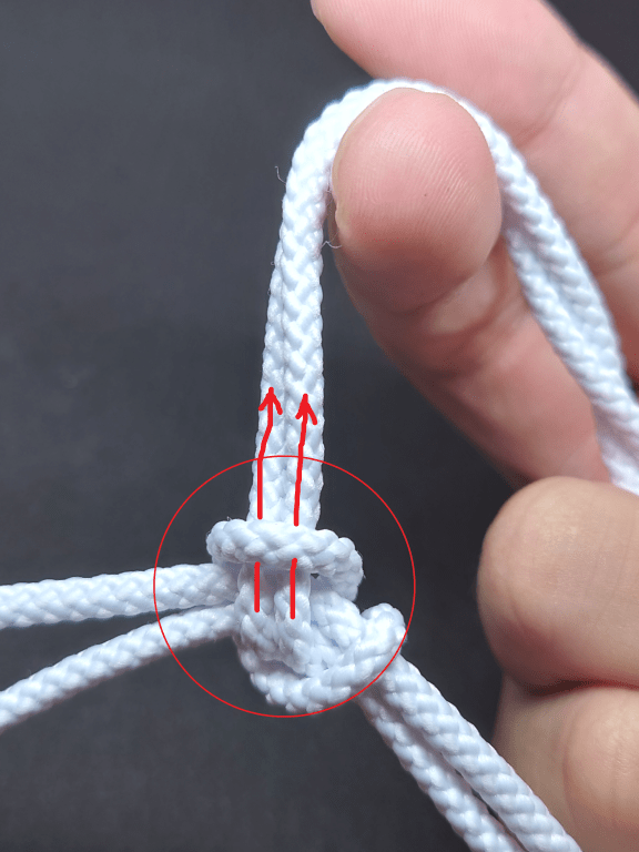 Palomar_Knot_11.png